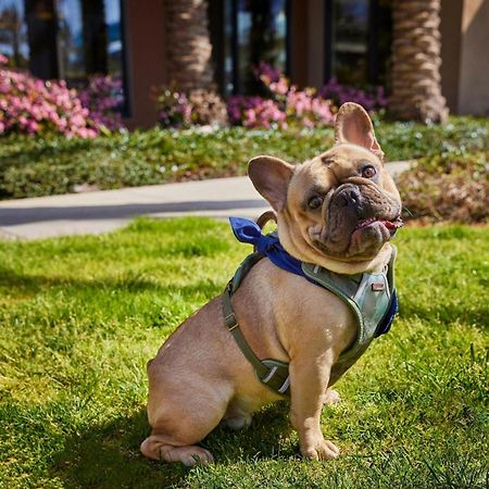 Residence Inn By Marriott Los Angeles Redondo Beach Luaran gambar